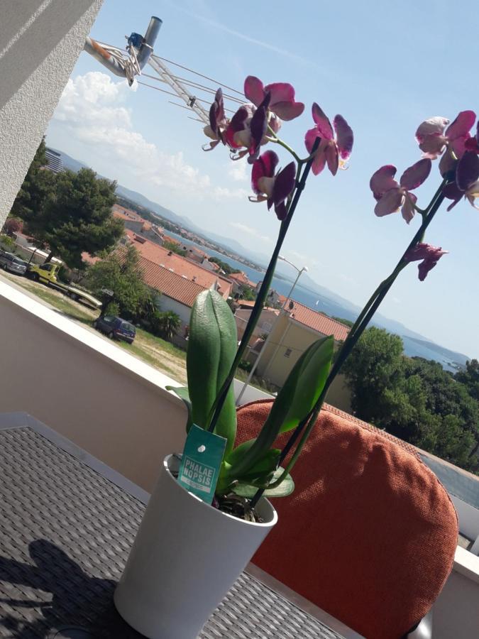 Dragicevic * Vodice
